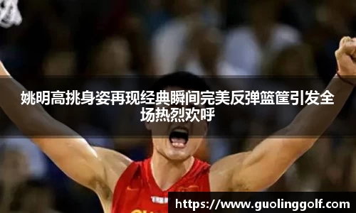 JJB竞技宝体育