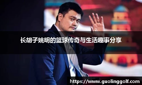 JJB竞技宝