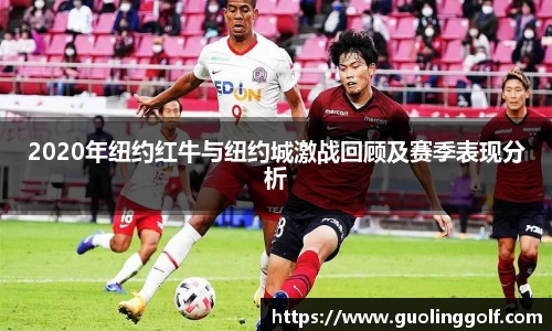 JJB竞技宝官网